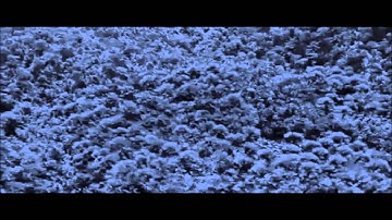 TEXTURAL BEING - Absolute & Relative