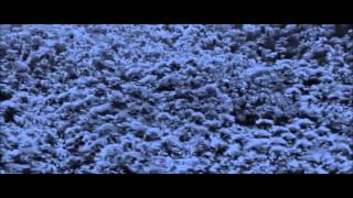TEXTURAL BEING - Absolute & Relative