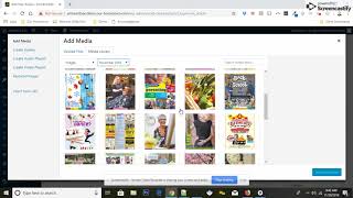 How to Publish an Article on your WordPress Site