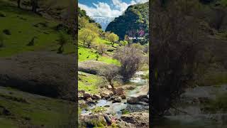From the majestic Zagros Mountains to the lush nature of Khuzestan, every view tells a story.