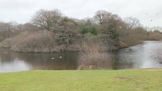 Epping forest park, London