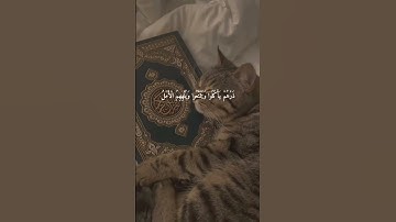 الرَّ تِلْكَ آيَاتُ الْكِتَابِ وَقُرْءَانِ مُّبِينٍ #سورة_الحجر #shortfeed #قرآن #هزاع_البلوشي