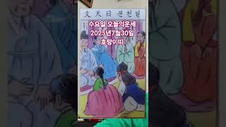 호랑이띠 오늘의운세 2025년7월30일 운세 #운세 #오늘의운세 #호랑이띠운세