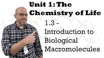 AP Bio Unit 1 - 1.3 Introduction of Biological Macromolecules
