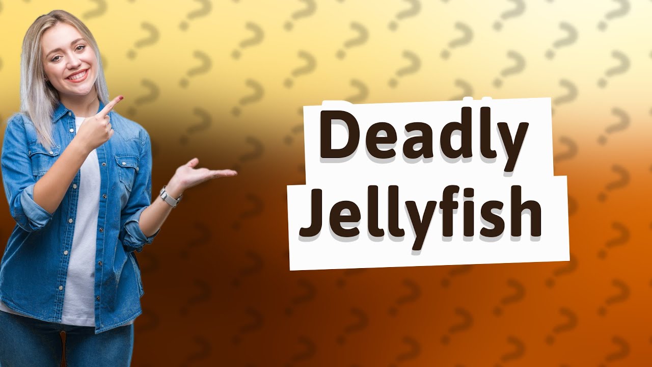 What Is The Most Poisonous Animal In Australia YouTube What Is The Most Poisonous Animal In Australia YouTube