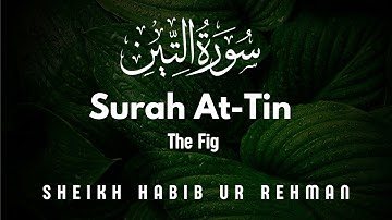Surah At-Tin (The Fig) | Highlighted HD Text | 95 سورة التين | By Sheikh Habib ur Rehman Ep02
