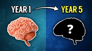 How Years Of Gaming Affects Your Brain screenshot 4