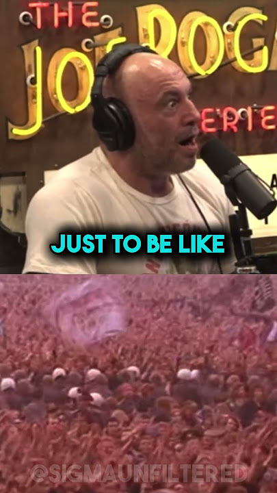 The Craziest Concert In History | JRE