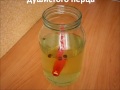 Перцовка с медом / Pepper vodka with honey