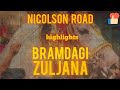 Bramdagi zuljana||Nicolson road||2024||highlights||@noker_e_kerbala512