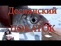 Деснянский покаток