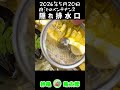 亀観察日記 2026.5.20 「隠れ排水口」 #亀飼育