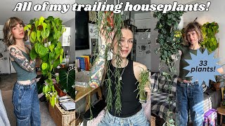 my huge indoor trailing plant collection! 33 species with tips and tricks