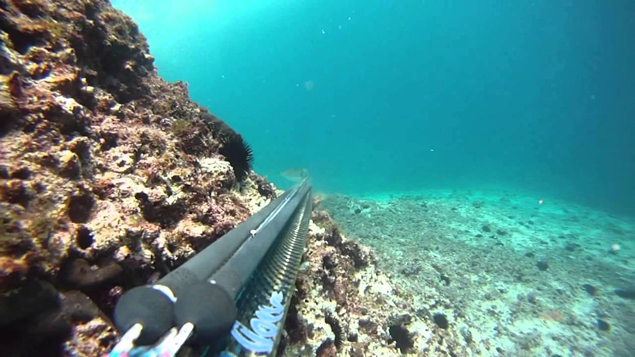 Spearfishing Kvarner 2012.