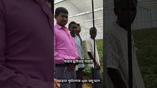 Bankura Polyhouse Exposure Visit | Modern Protected Cultivation Technology | BCAP CSA