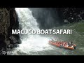 Macuco boat safari