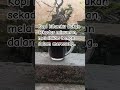 Kopi Lampung #pecintakopi #kopihitam #kopiindonesia