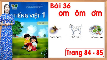 Tiếng việt lớp 1 kết nối tri thức bài 36 |om ôm ơm