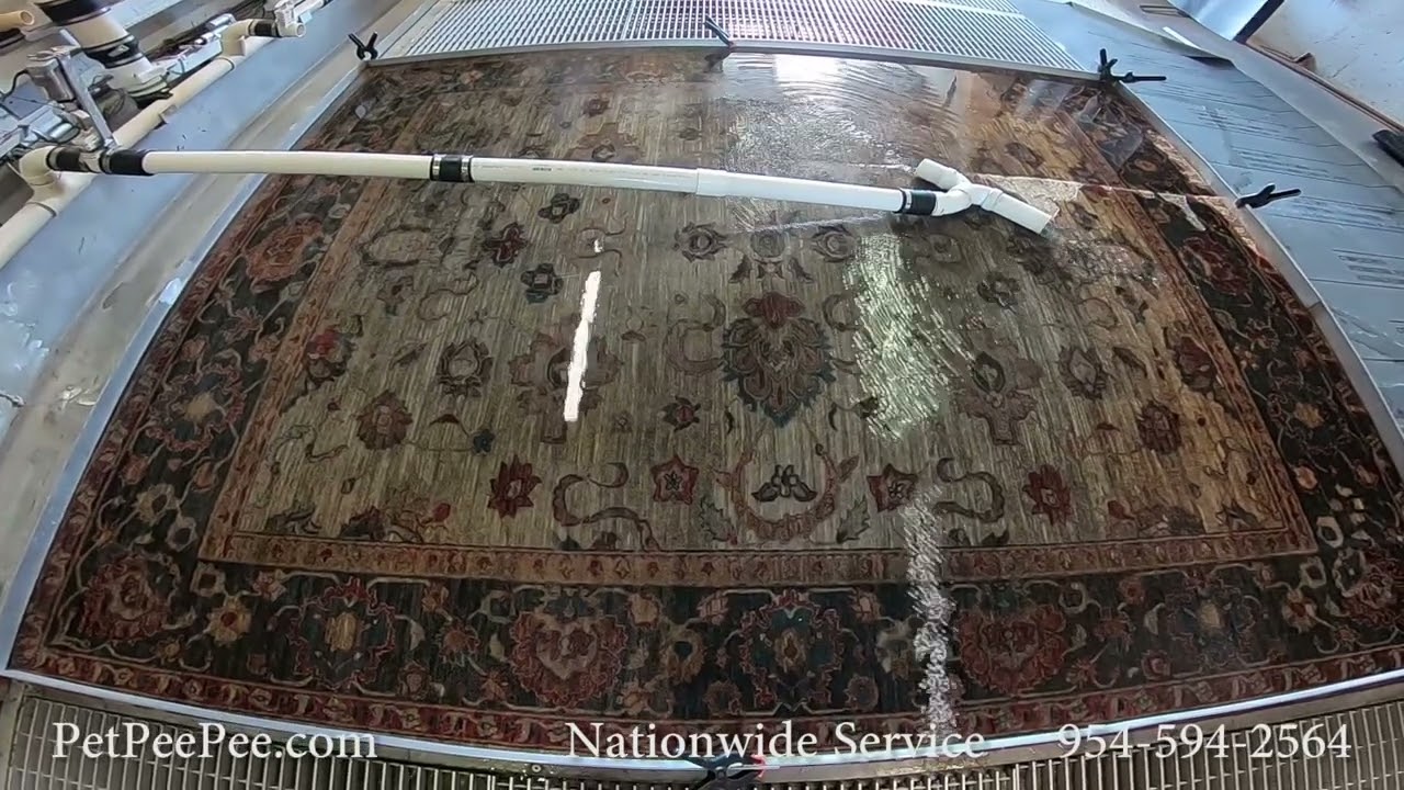 Asmr Oriental rug cleaning urine odor YouTube