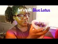 the spiritual &amp; mental benefits of blue lotus