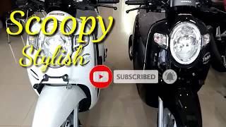 Scoopy Terbaru | Honda scoopy stylish 2019