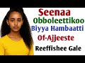 Seenaa Obboleettikoo Biyya Hambaatti Of Ajjeeste