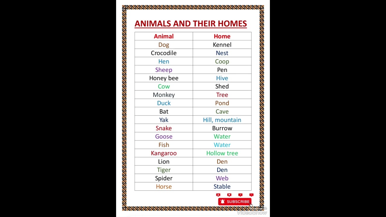 Animals and their house l animal and their house name in english