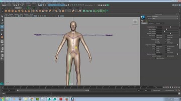 Maya Rig Skeleton Biped