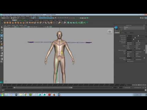 Maya Rig Skeleton Biped