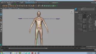 Maya Rig Skeleton Biped