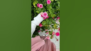 سوره المطففين #like #اكسبلور 🤲🤲🌜♥️