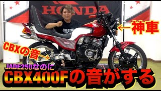 The JADE250, which has the sound of a CBX, is an amazing bike