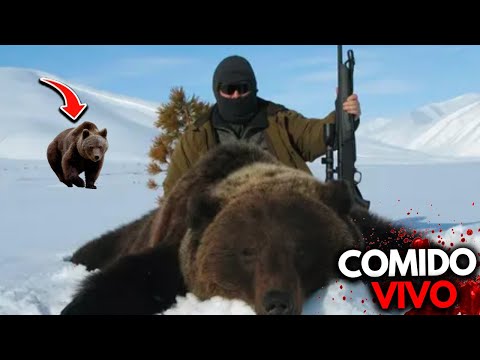 Video: ¿Dónde disparar al oso? Lugares de matanza del oso