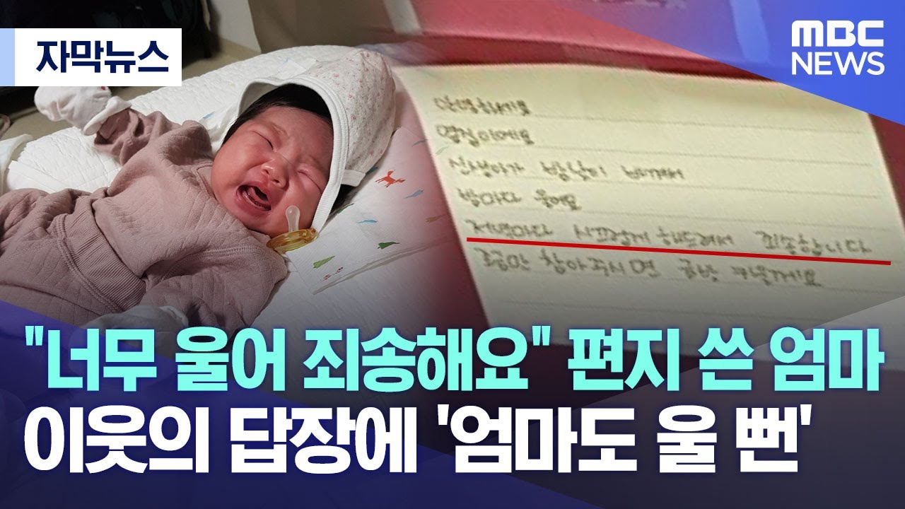 [자막뉴스] 