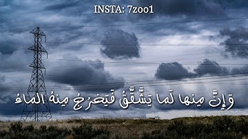 قرآن كريم بصوت القارئ: مشاري العفاسي || أجمل حالات واتس اب دينيه || تلاوة خاشعة 🌿