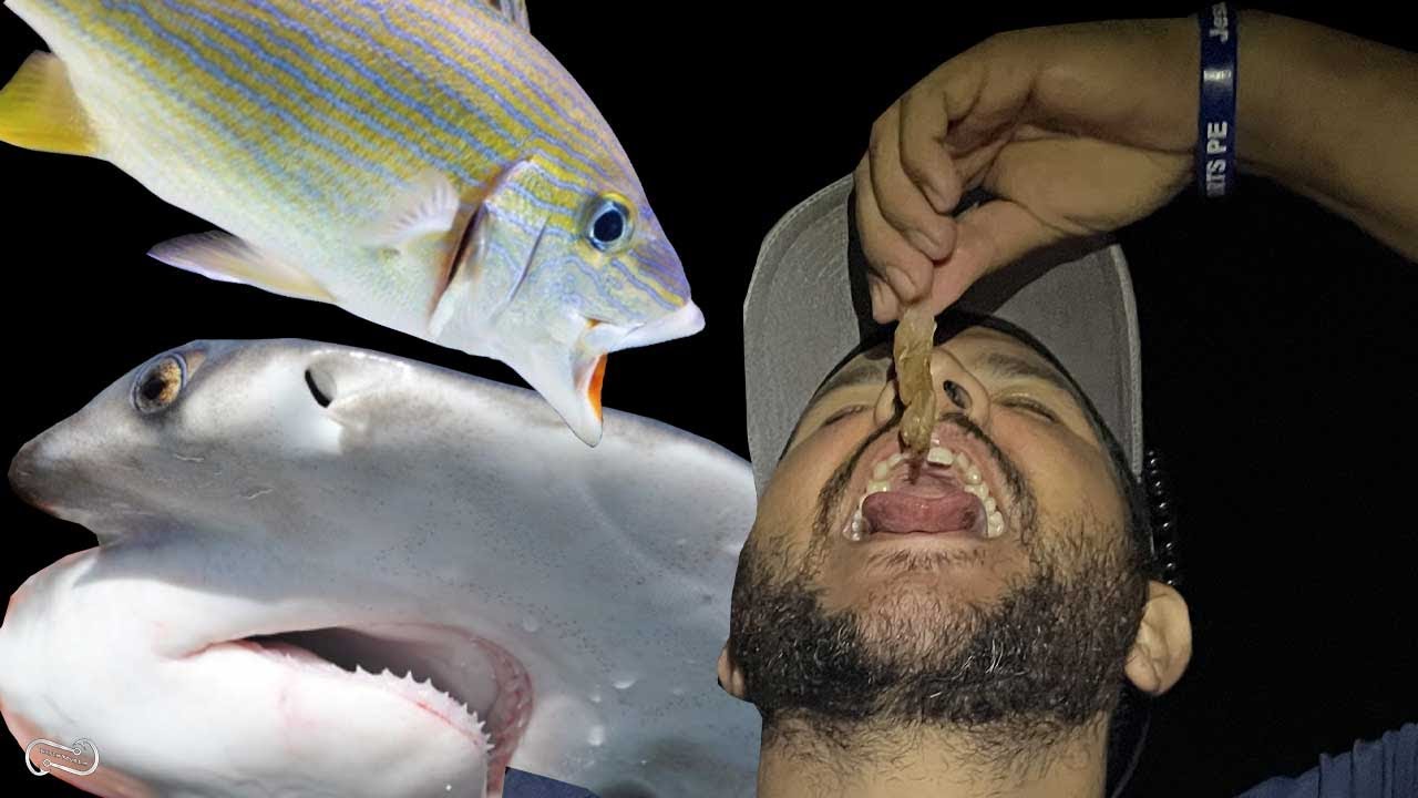 NO CATCH NO EAT FLORIDA KEYS 24 HOUR BRIDGE FISHING CHALLENGE - LONG KEY BRIDGE