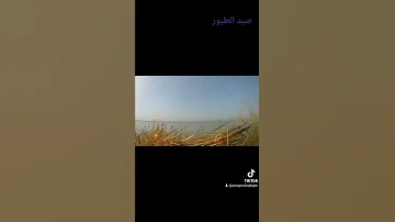 صوت الهرارةولمليحي يفيد للصيد مجرب 