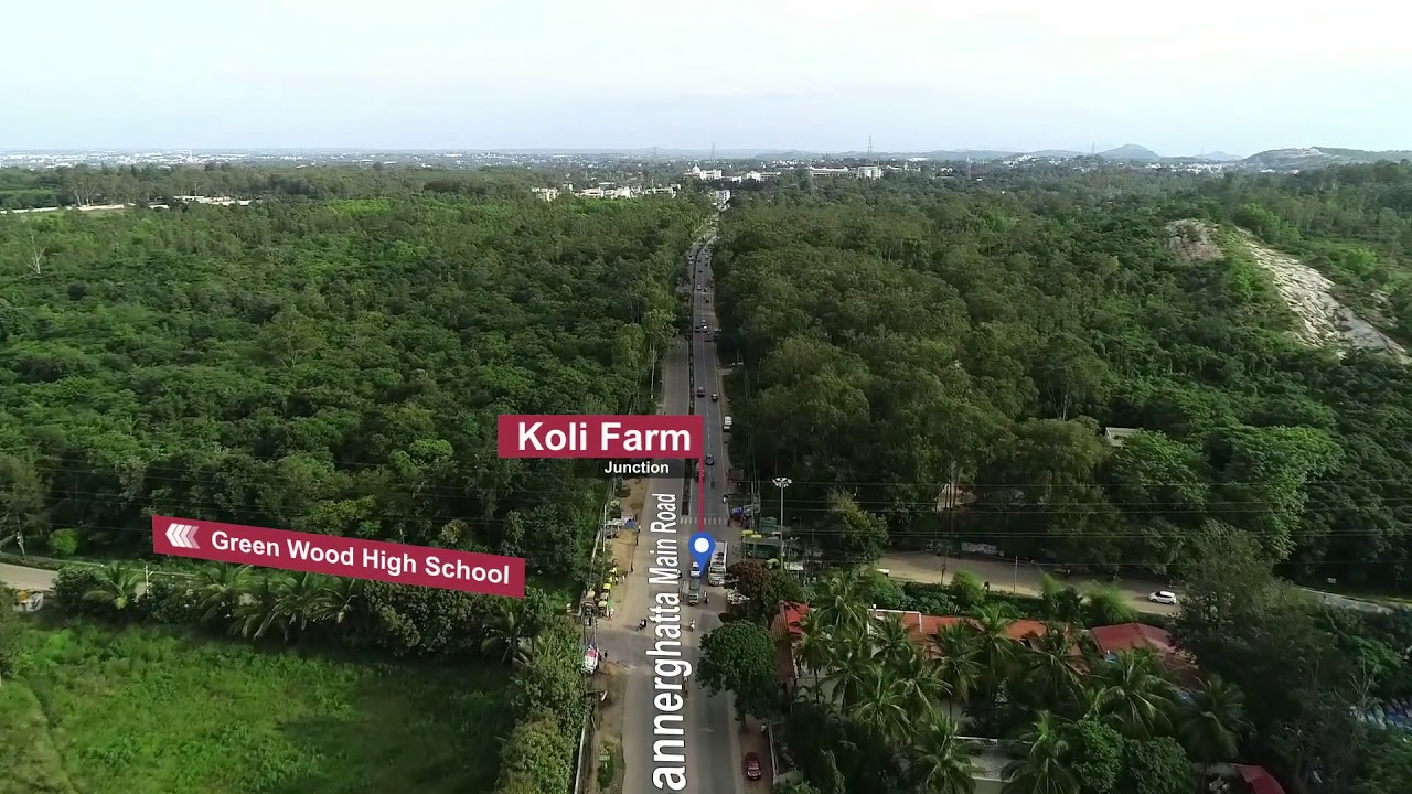 Experience a Walk of Pride Vatika at Bannerghatta Road YouTube