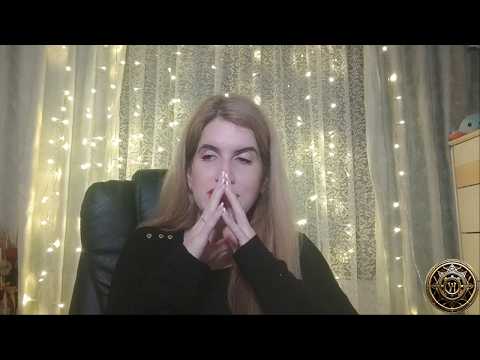 Modo Paz y Logística: cuando la vida se desordena, yo me ordeno