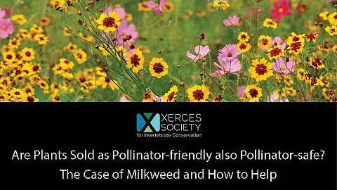 Are Plants Sold as Pollinator friendly also Pollin...