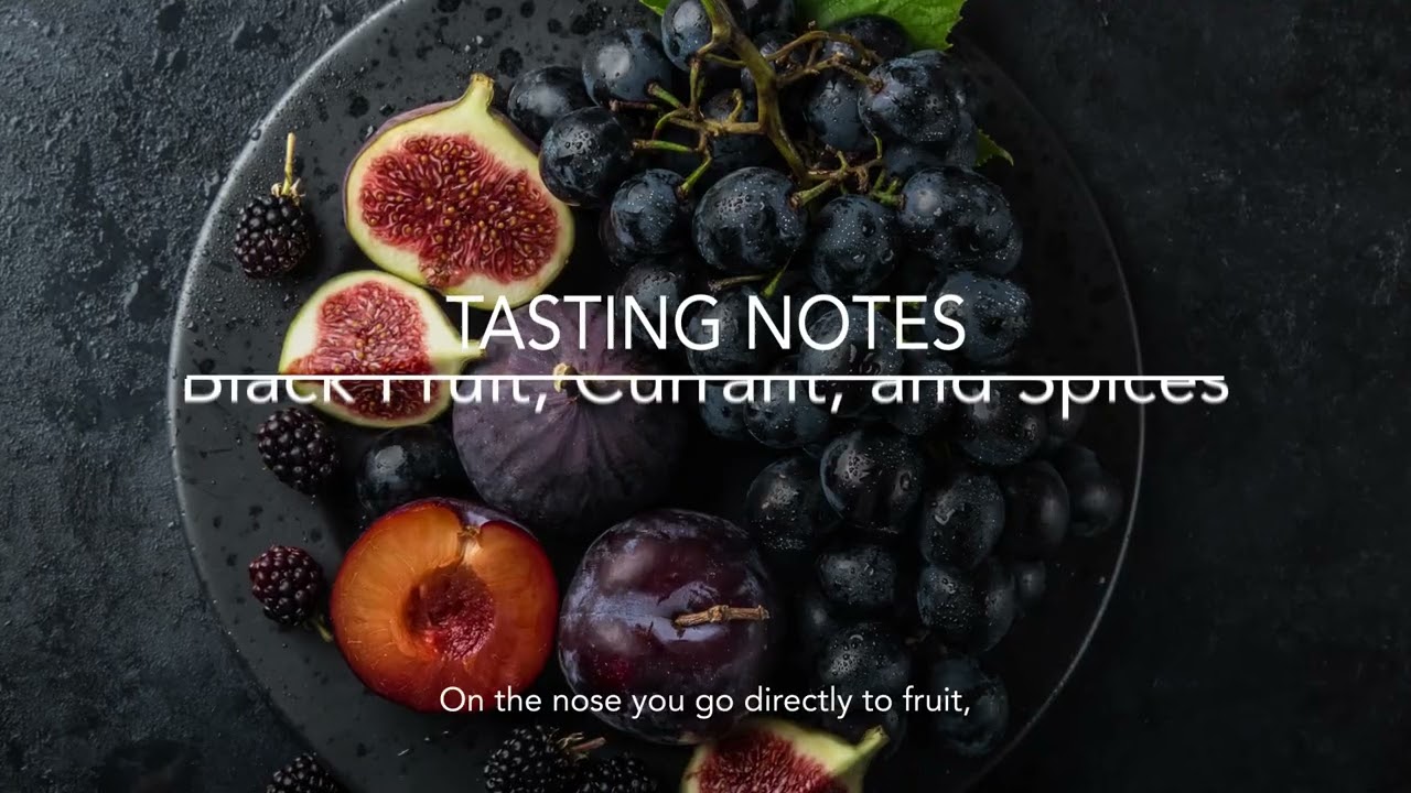 Experience Château Haut Brisson La Grave Red Bordeaux