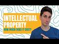 How much will IP protection cost?