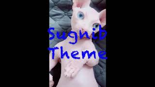 Sugnib theme (From Bingus Quest, an upcoming film)
