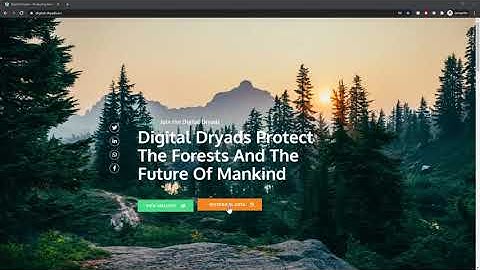 Digital Dryads Presentation of Deforestation Monitoring using Copernicus Sentinel Satellites
