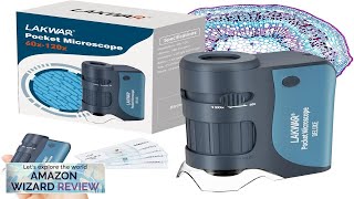 Celebrity 60x-120x Mini Pocket Microscope for Kids Adults Portable Handheld Microscope with 5 Review Net Worth