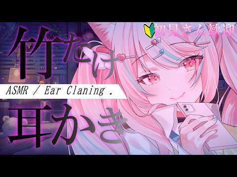 🔴日中のお耳のお掃除【ASMR/Binaural】甘々💕耳奥をごりごり刺激する耳かき｜耳かき/タッピング/添い寝 #新人VTuber #恋芹ハル