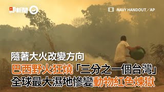 巴西野火狂燒「1／３個台灣」，全球最大濕地慘變動物煉獄｜火災｜自然｜生態