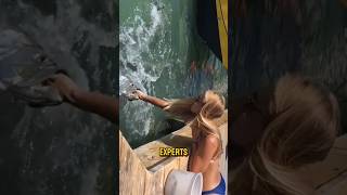 Feeding wild aquatic animals