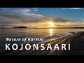 Природа Карелии - о. Койонсаари 🔹 Nature of Karelia - KOJONSAARI