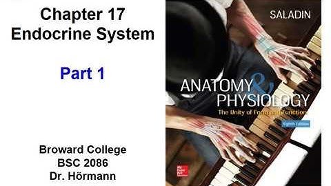 (BC BSC 2086) Chapter 17 Endocrine System Part 1